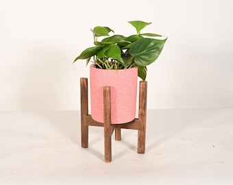 Live Plant Heartleaf Philodendron with 5" Ceramic Indoor Planter Pot and Wood Stand