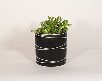 Indoor Live Plants - Goldfish - Plants with 8" Ceramic Indoor Planter Pot - Potted Plants - Cylinder Ceramic Planter Pot