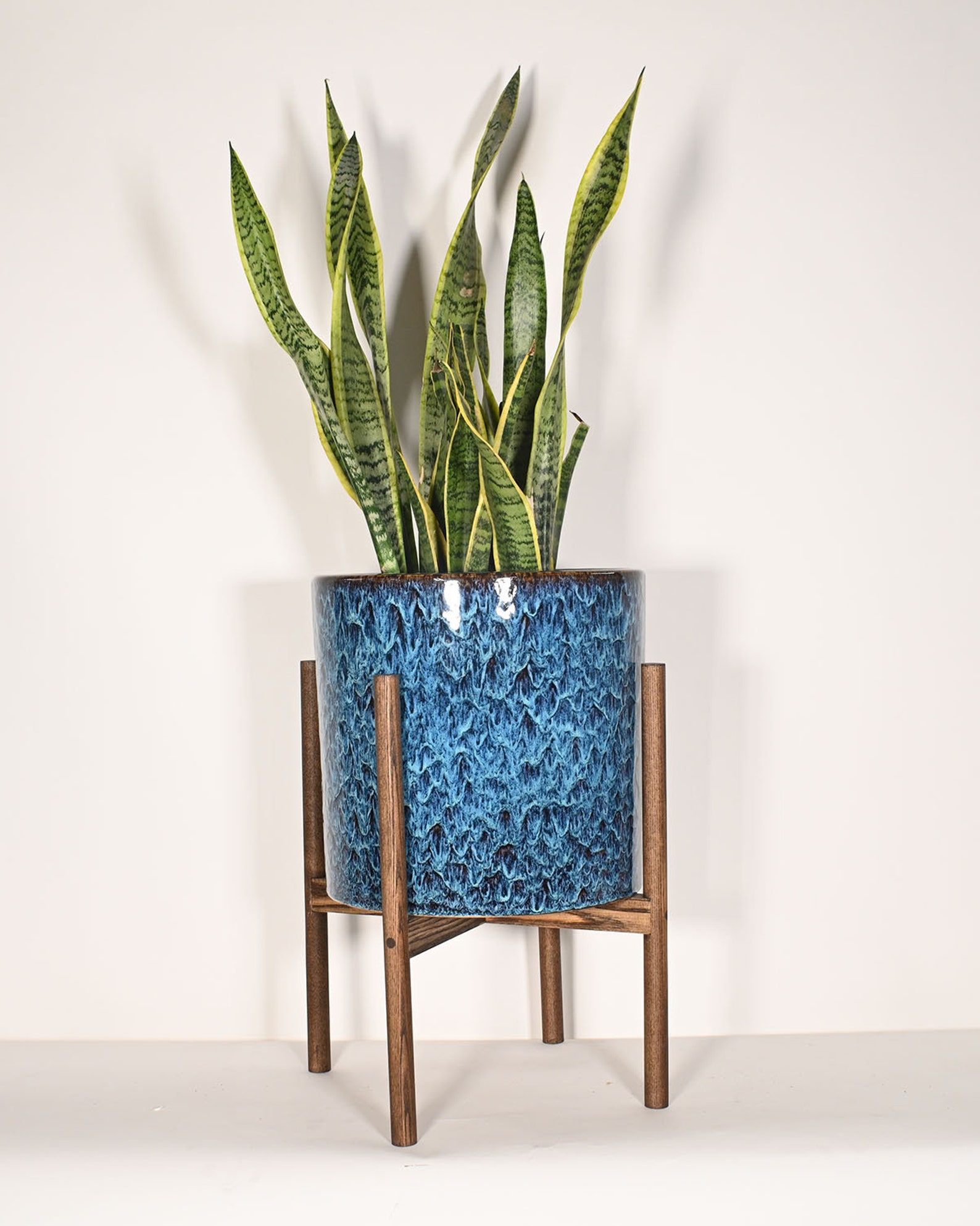 Live Plant Snake Plant with Extra Large Ceramic Pot 13 Etsy