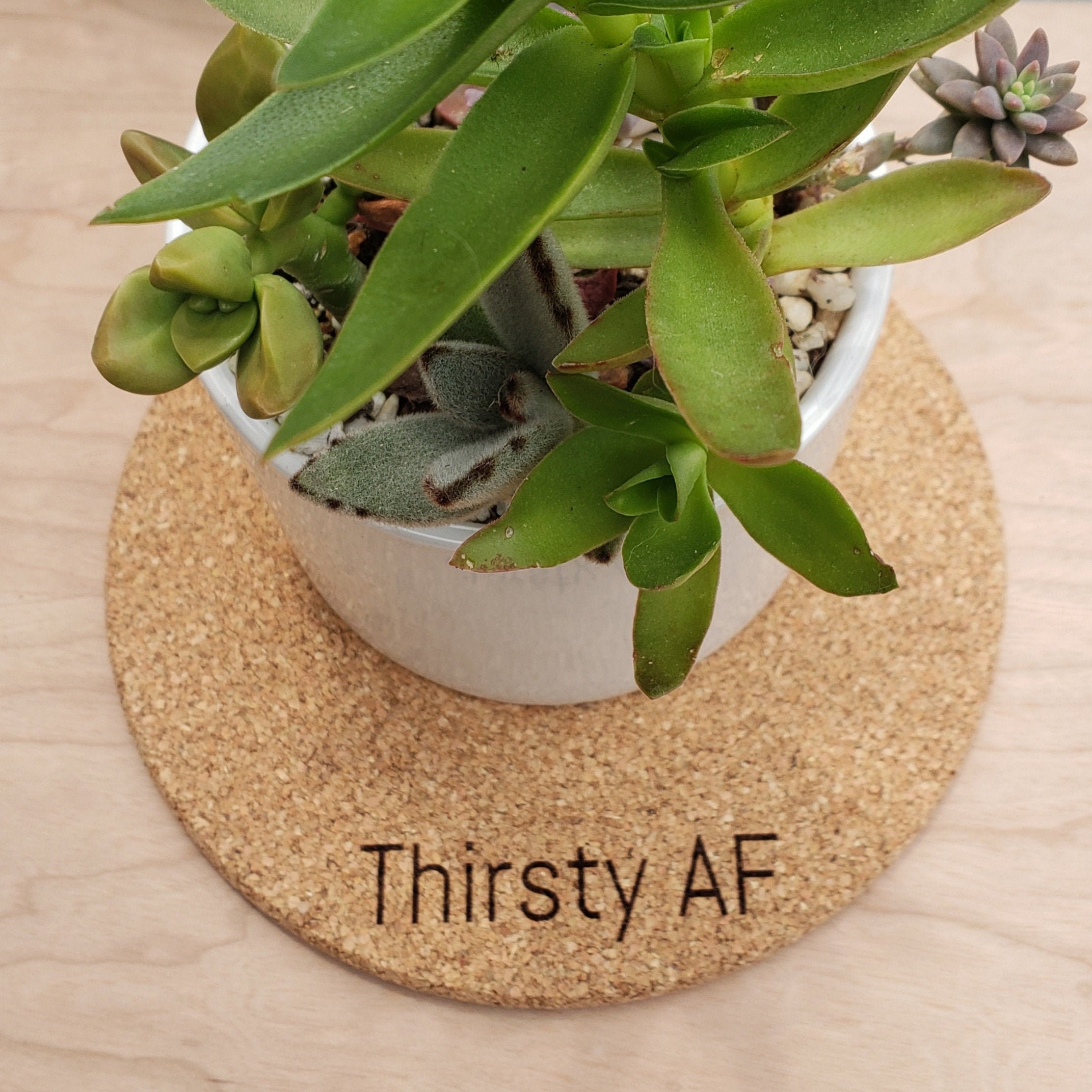 CORK PLANT MAT 7 Round thirsty Af Etsy UK