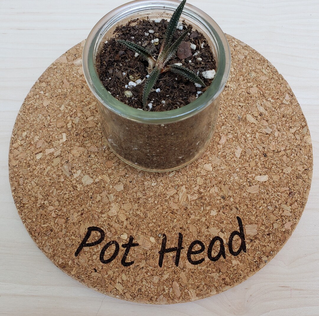 Cork Plant Mat pot Head Etsy