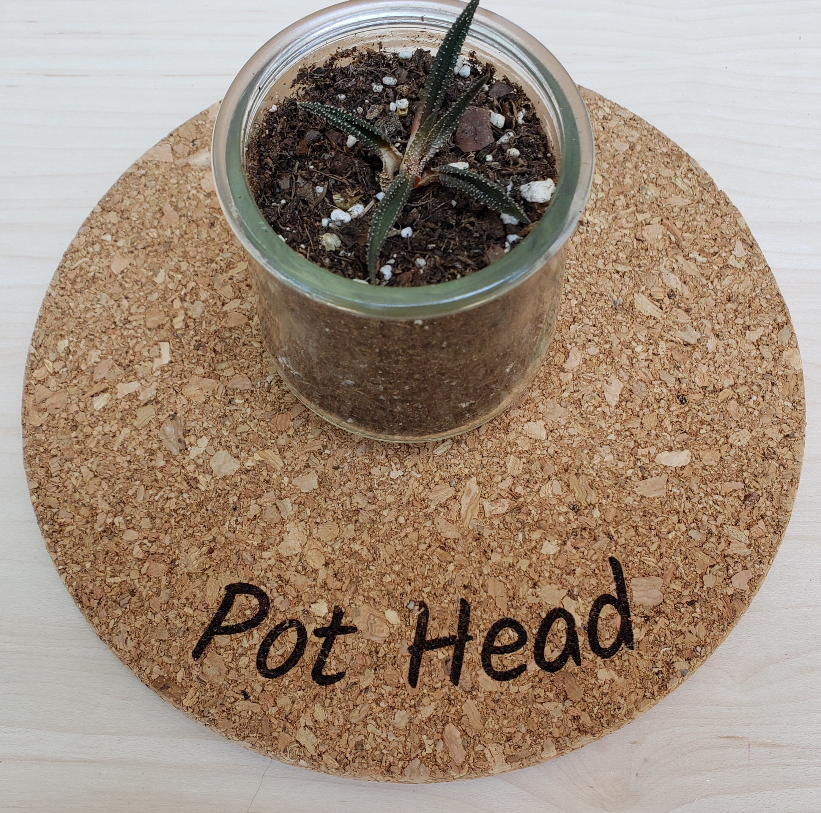 Cork Plant Mat pot Head Etsy