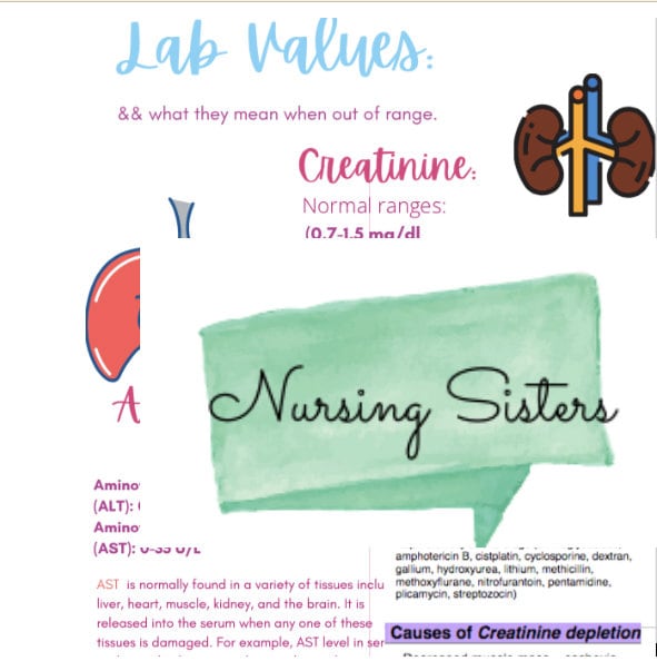 Nursing Cheat Sheet PDF Quick Clinical Printable Guide LAB VALUES and ...