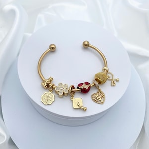 May include: A gold charm bracelet with a variety of charms, including a flower, a heart, a graduation cap, and a red heart charm. The bracelet is on a white background.