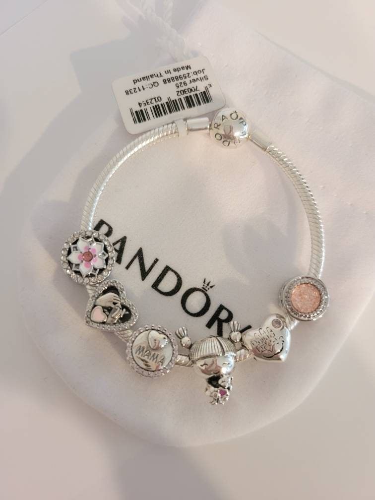 Pandora Bracelet With Mother of Daughter Themed Charms - Etsy