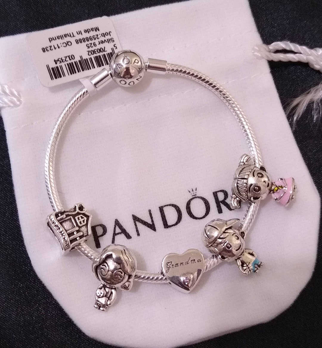 Pandora Bracelet With Grandmother and Grandchildren Themed - Etsy