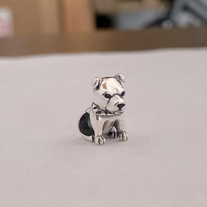Pitbull with Chain Collar Charm 925 sterling silver