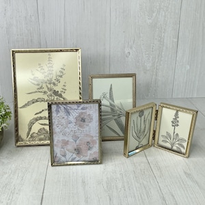 May include: A collection of five gold-toned picture frames of varying sizes, each containing botanical prints in black and white. The frames are arranged on a light-colored wooden surface, with a small potted plant in the background.