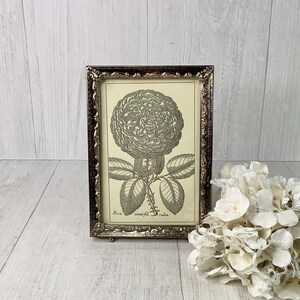 May include: A framed botanical print of a rose in a silver-toned frame. The print features a detailed illustration of a rose bloom, stem, and leaves. The frame has ornate detailing. A bouquet of white flowers is in the foreground.