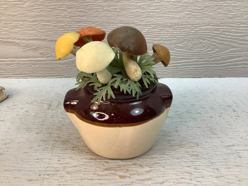 Vintage Brown and Beige Ceramic Crock with Mushooms/ Potted Mushrooms/ Mushies/ Mushroom Picks/ Boho Decor