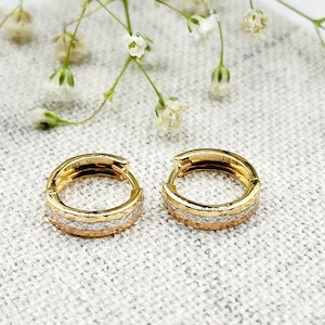 Gouden oorringen voor dames, 10 kt geelgouden cirkeloorbellen, gouden kleine hoepels 14 mm dikke oorbellen