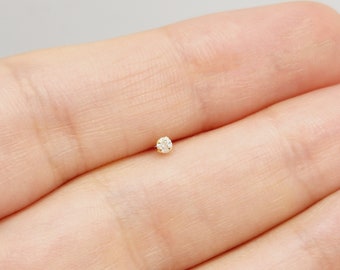 May include: A small, round, clear diamond gemstone set in a gold nose stud.