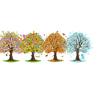 Four Seasons Trees PNG, Fall Tree, Winter Tree, Summer Tree Swing PNG, Spring Tree Image, 4 Seasons Download, Seasons Colors Shirt, Colorful