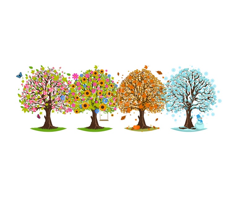 May include: Four trees representing the four seasons: spring with pink blossoms, summer with yellow sunflowers, autumn with orange leaves, and winter with snow and a snowman.