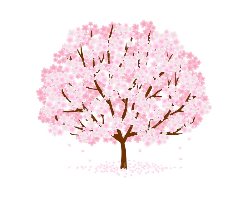 May include: A pink cherry blossom tree with a brown trunk and branches. The tree is in full bloom and the flowers are falling to the ground.