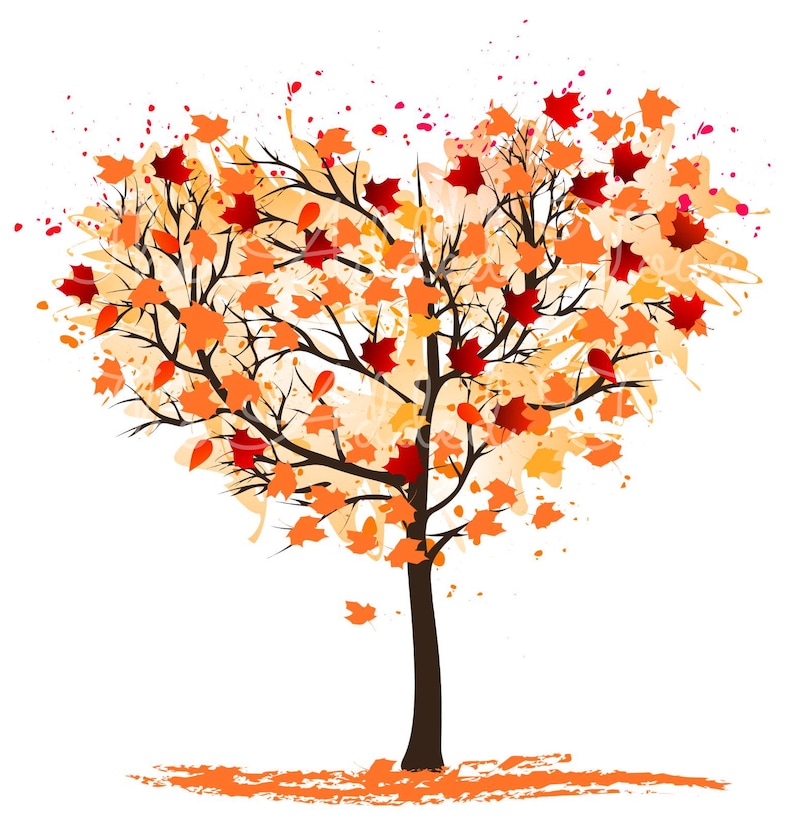 Fall Heart Tree PNG, Fall Tree Image, Fall Leaves Download, Fall is My Favorite Color, Autumn Leaves PNG, Fall Colors, I Love Fall Most image 2
