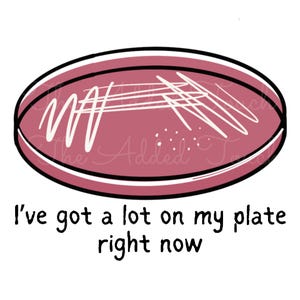 Ontwerp petrischaaltje scheikunde, ik heb nu veel op mijn bord, png, shirt microbiologie, chemiesticker DTF, laboratoriumtechnologie, biologie