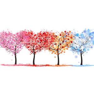 Four Seasons Trees PNG, Fall Tree, Winter Tree, Summer Tree PNG, Spring Tree Image, 4 Seasons Download, Seasons Color Shirt, Colorful Leaves