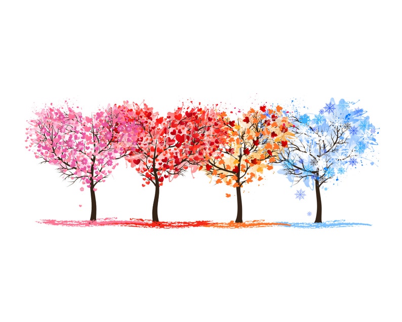 Four Seasons Trees PNG, Fall Tree, Winter Tree, Summer Tree PNG, Spring Tree Image, 4 Seasons Download, Seasons Color Shirt, Colorful Leaves image 1