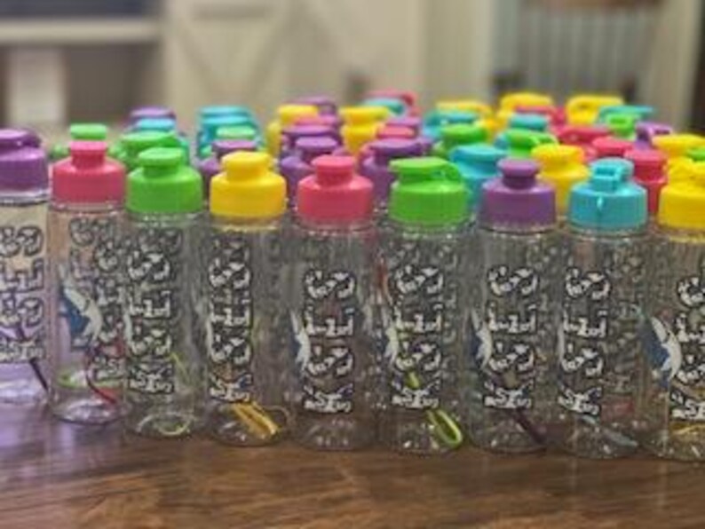 May include: A group of 24 clear plastic water bottles with colorful lids and a white design that says "SEIZE THE DAY".