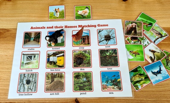 Animals and Homes Matching Busy Book Page Binder Montessori - Etsy Australia