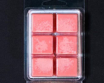 Cherry Scented Soy Wax Melts Inspired by Aurora - The Smell We Can Touch