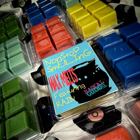 Rain Scented Soy Wax Melts Inspired by Turnstile - Nonstop Smelling