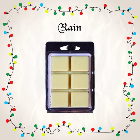 Rain Scented Soy Wax Melts Inspired by Turnstile - Nonstop Smelling