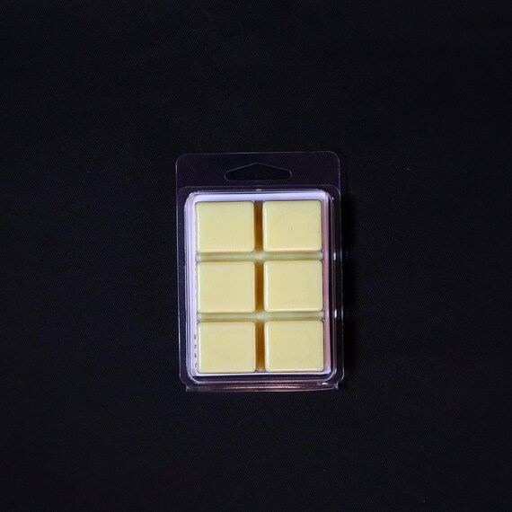 Rain Scented Wax Melts | Turnstile Inspired | Nonstop Smelling | Hand-poured by Radical Goods