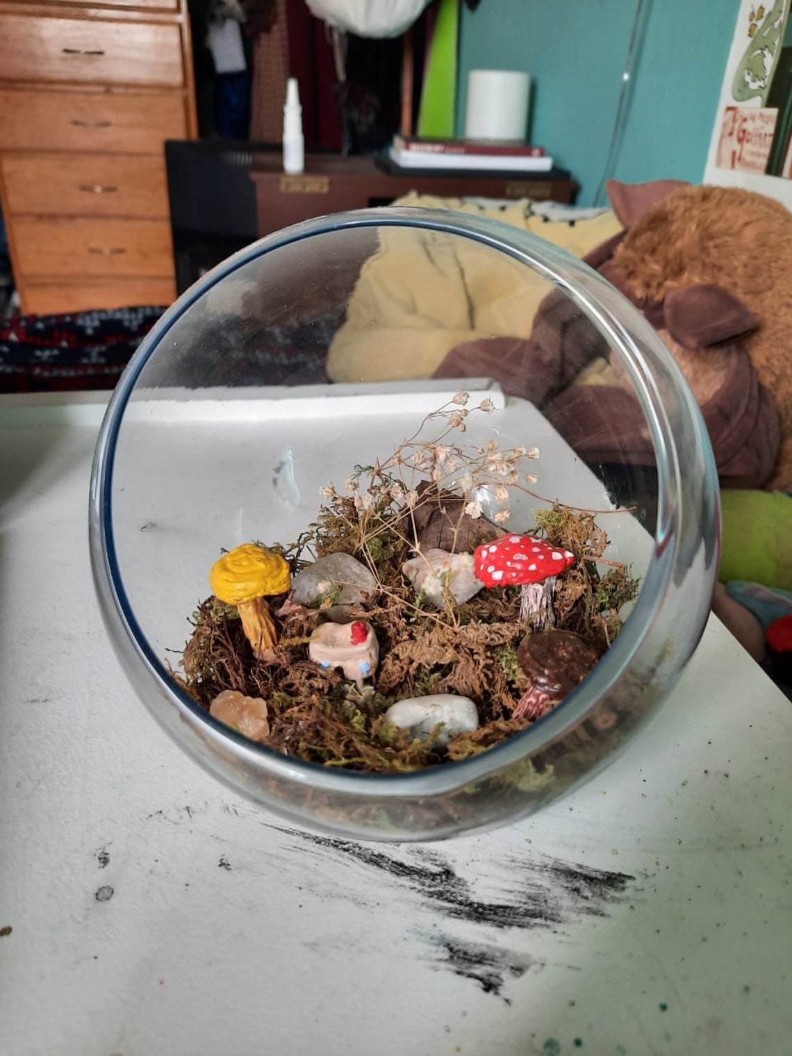 Terrarium with mushrooms and moss for interior decoration Etsy