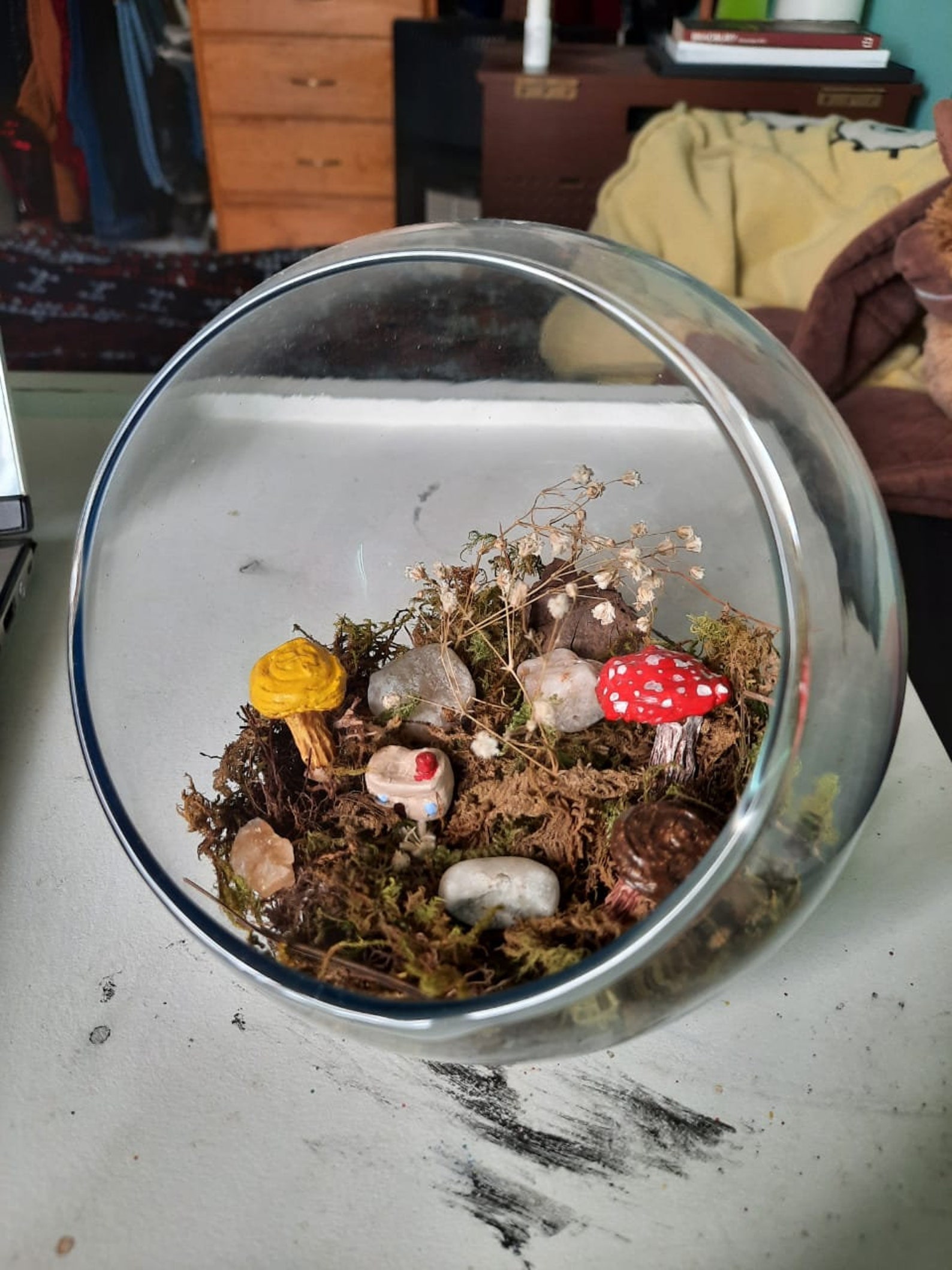 Terrarium with mushrooms and moss for interior decoration Etsy