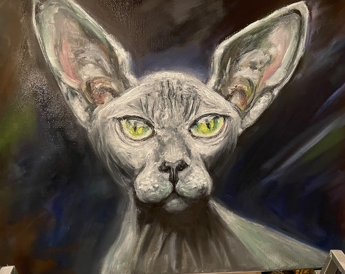 Sphynx Cat in the Dark Pet Portrait Wall Art Original Oil Painting 16”x20”