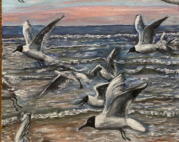 Seagulls Black Headed Gulls on the Beach Wall Art Original Oil Painting 16"x20"