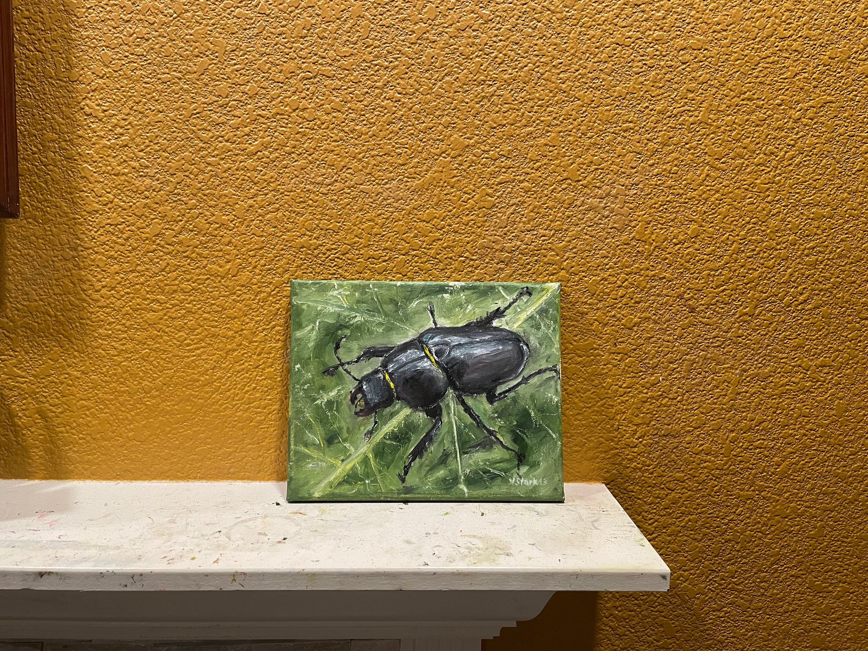 gallery photo