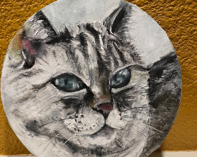 Relaxed Cat Portrait Pet Wall Art Original Oil Painting 8 in diameter