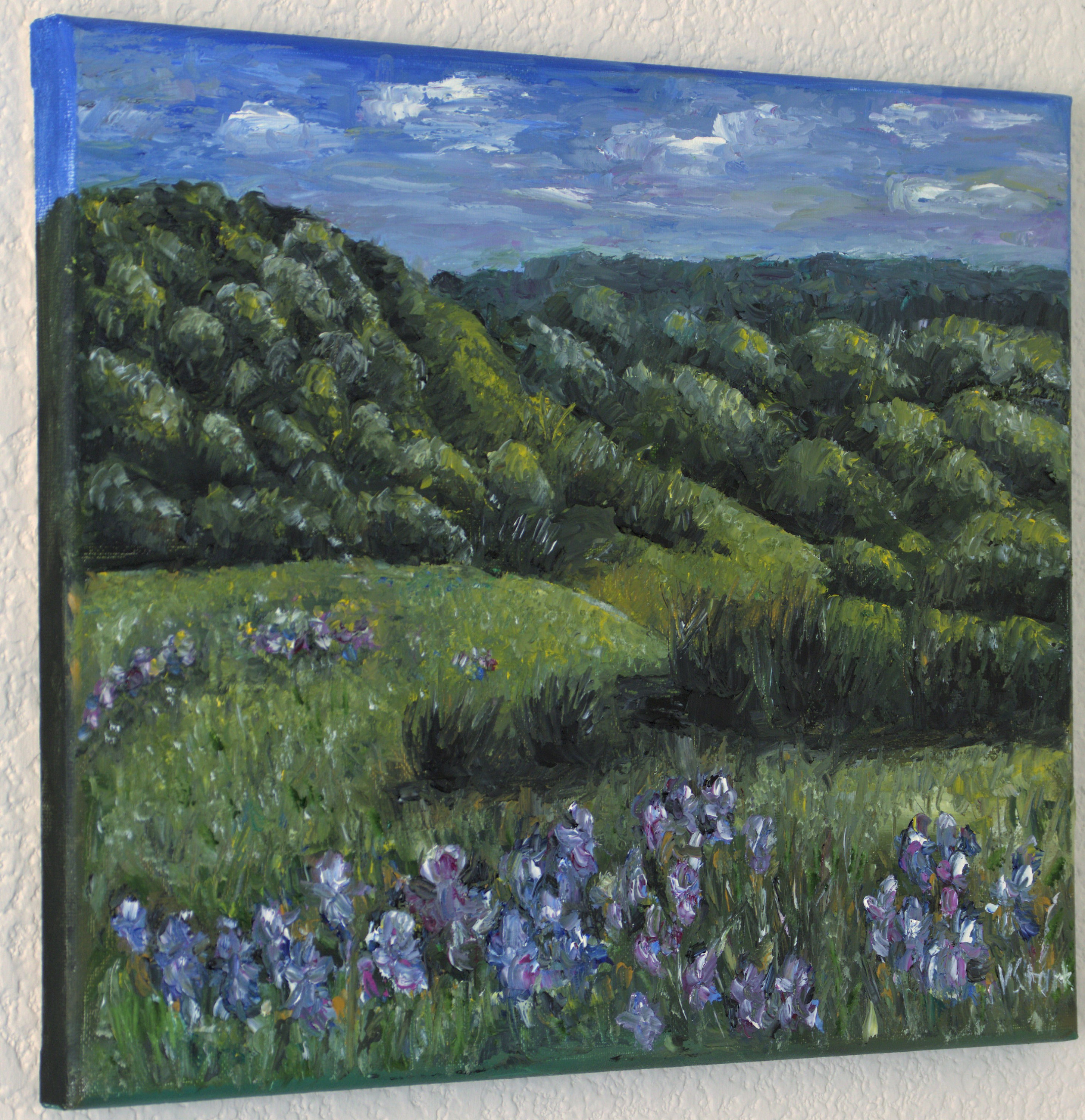 gallery photo