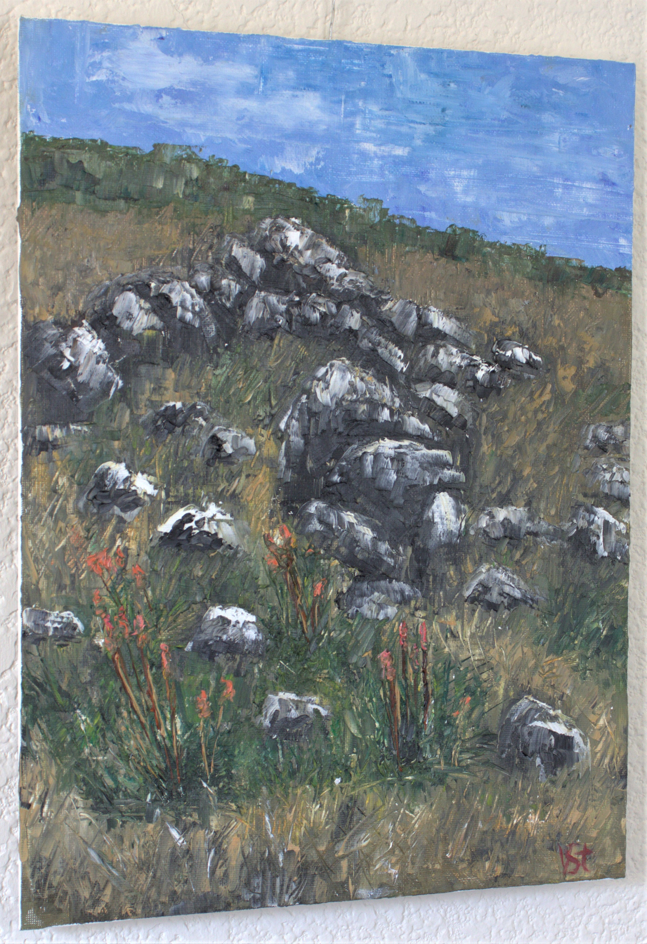 gallery photo