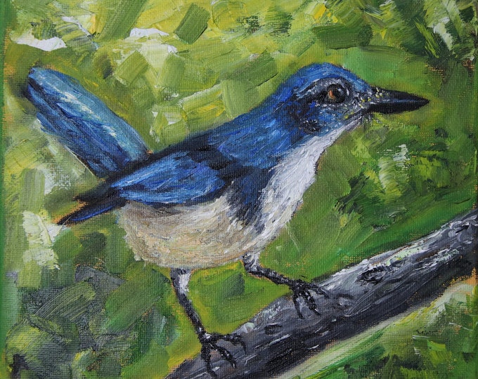 Blue Jay Wall Art Wall Décor Original Oil Painting 8x8 in