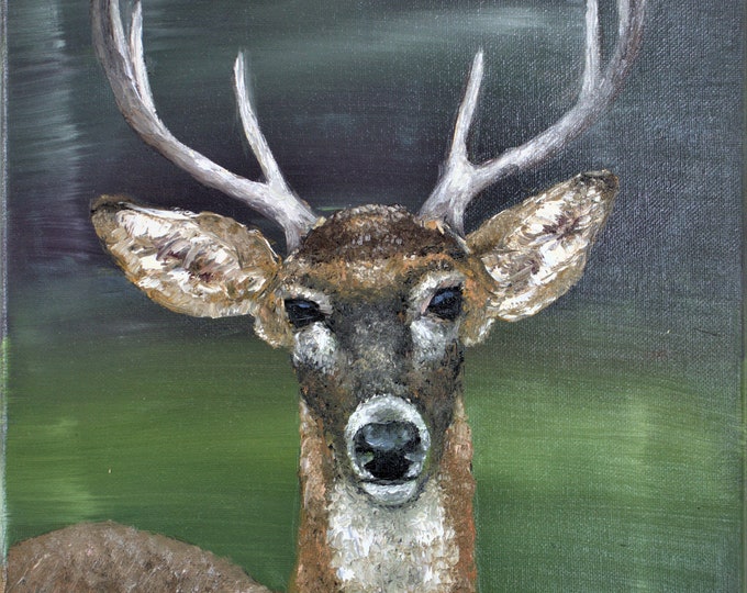 Deer Wild Animal Wall Art Original Oil Painting 11 x 14 in