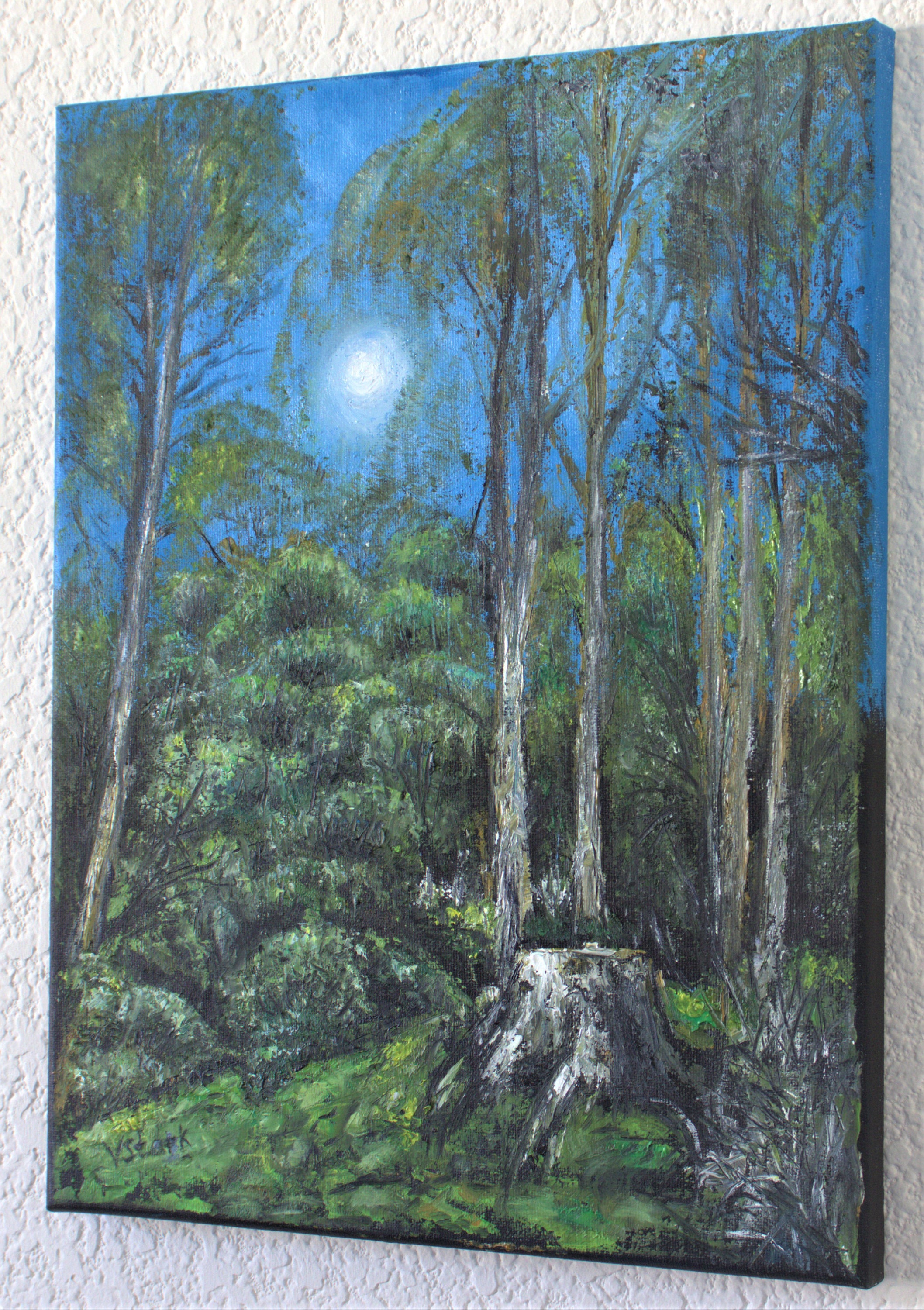 gallery photo