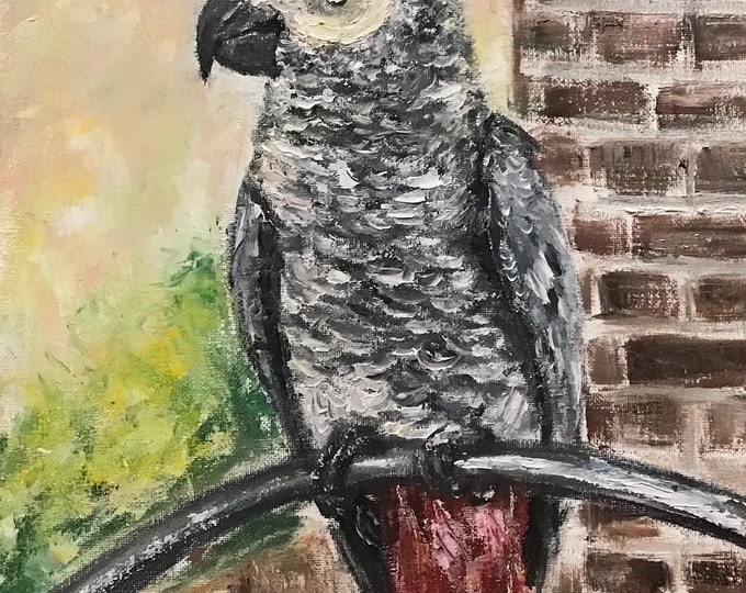 African Grey Parrot Wall Art Original Oil Painting 11 x 14 in
