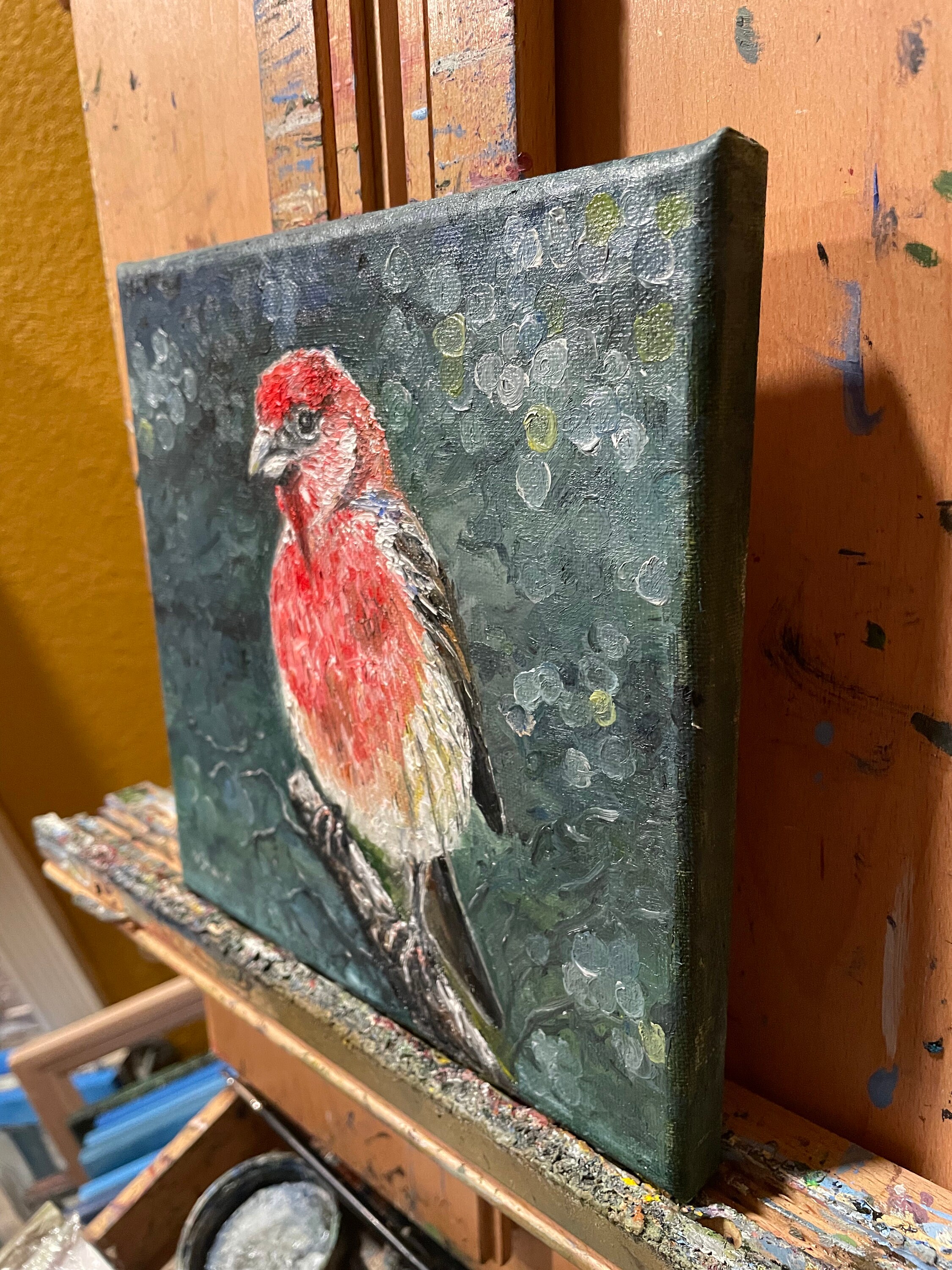 gallery photo
