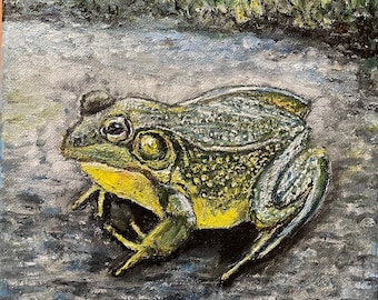 Bullfrog Frog Amphibian Wall Art Original Oil Painting 8"x8”