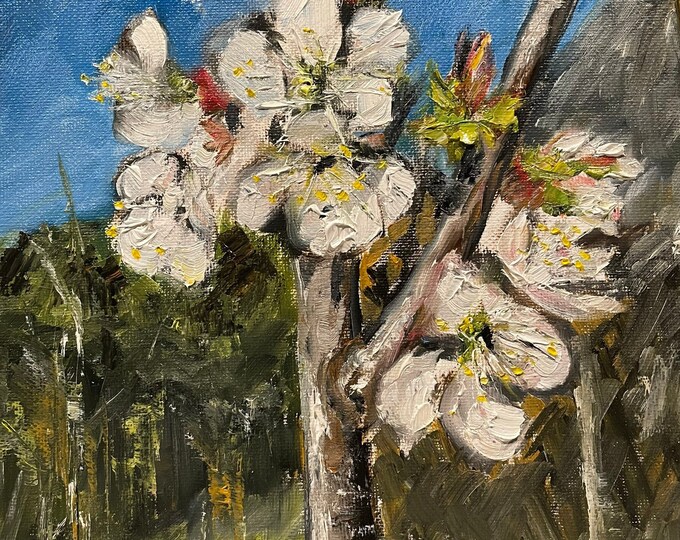 Spring Blooming White Cherry Tree Flowers Wall Art Original Oil Painting 8x10 in