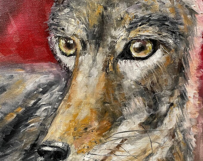 California Coyote Portrait Wall Art Original Oil Painting 10x10 in