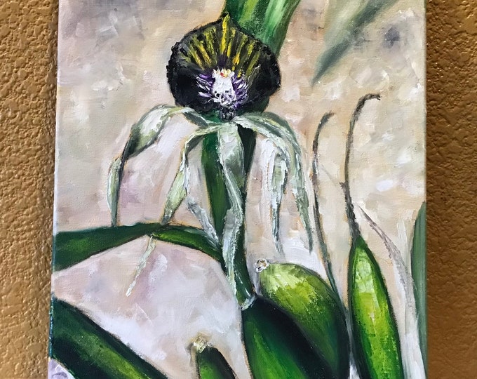Exotic Orchid Flower Wall Art Original Oil Painting 11 x 14 in