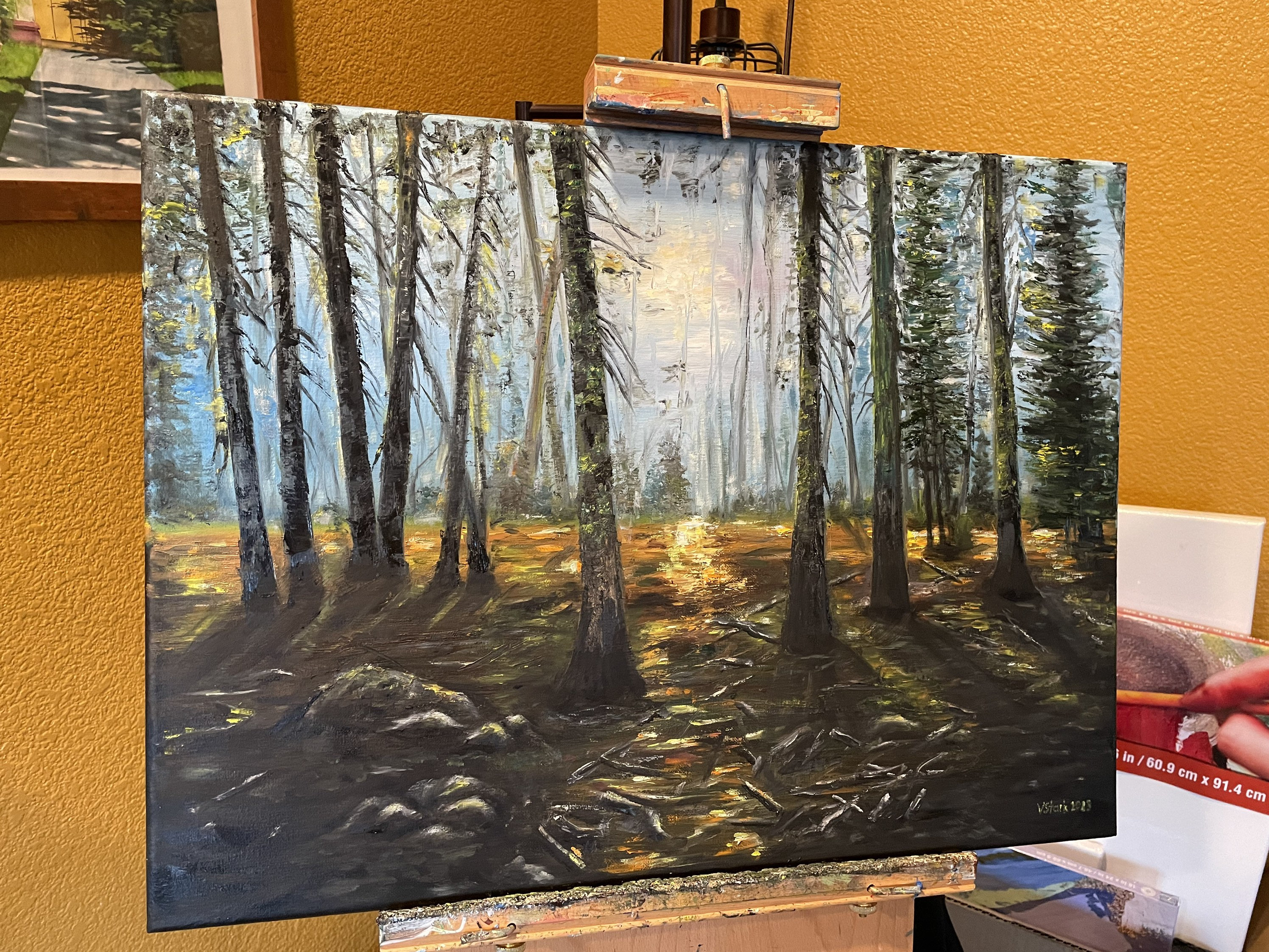 gallery photo