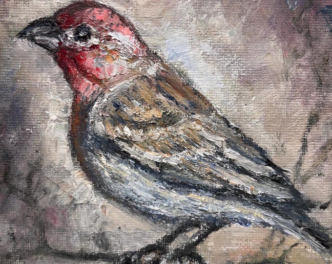 House Finch Bird Songbird Original Oil Painting Wall Art 5"x5"