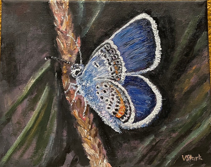 Tiny Blue Butterfly Wall Art Original Oil Painting 10 X 8 in