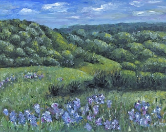 Flowers Irises California Landscape Scenery Wall Art Original Oil Painting 11x14in